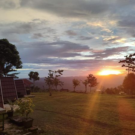 Bugo Camp Glamping & Natural Activity Munduk Exteriér fotografie