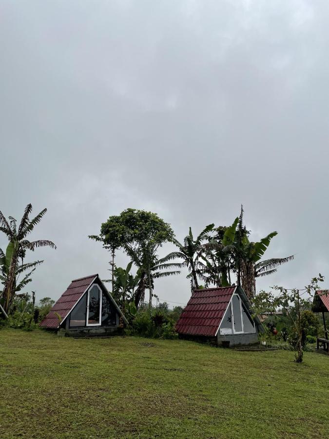Bugo Camp Glamping & Natural Activity Munduk Exteriér fotografie