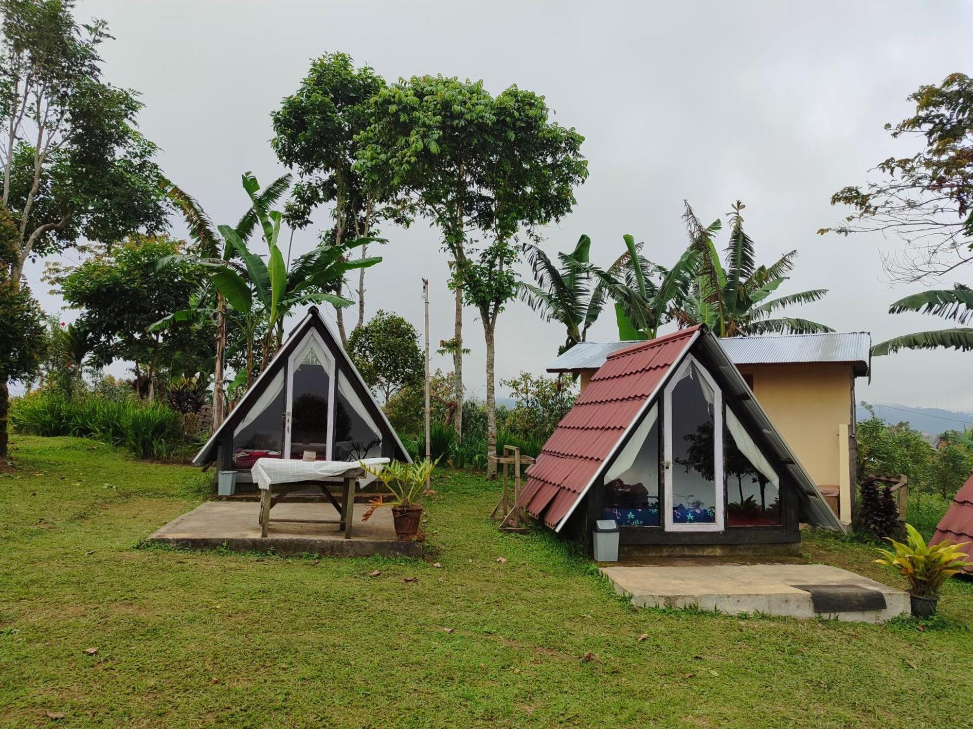 Bugo Camp Glamping & Natural Activity Munduk Exteriér fotografie